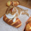 Kép 1/2 - 3D kenyér alakú párna, 20 cm
