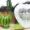 Kép 3/3 - Kreatív görögdinnye-formázó (szív)
