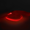 Kép 2/4 - LED-es póráz - akkumulátoros - 120 x 2,5 cm - piros