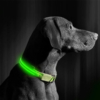 Kép 2/4 - LED-es nyakörv - akkumulátoros - M méret - zöld