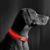 Kép 2/4 - LED-es nyakörv - akkumulátoros - L méret - piros