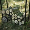 Tűzifa szállító kézikocsi 70x30x70-109cm (MF-0054-H)